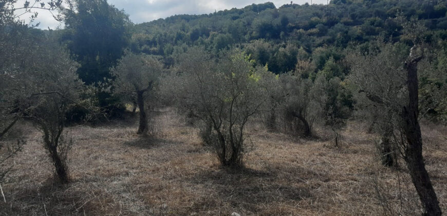 Land for Sale Ain Kfaa Jbeil Area 7137Sqm