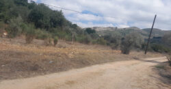 Land for Sale Ain Kfaa Jbeil Area 7137Sqm