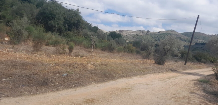 Land for Sale Ain Kfaa Jbeil Area 7137Sqm