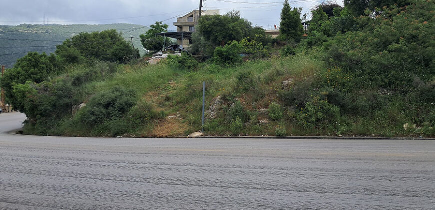 Land for Sale Barij Jbeil Area 770Sqm