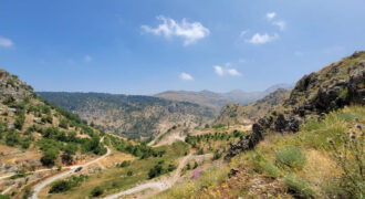 Land for Sale Tannourine El Faouqa ( Fahta ) Batroun Area 6570Sqm