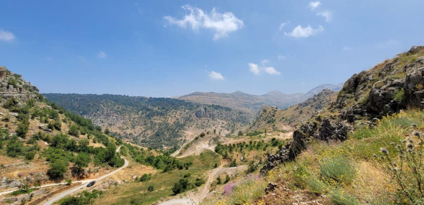 Land for Sale Tannourine El Faouqa ( Fahta ) Batroun Area 6570Sqm