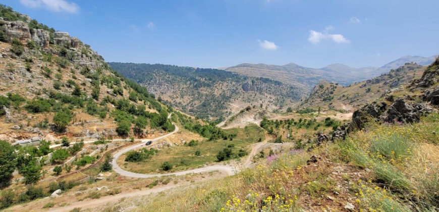 Land for Sale Tannourine El Faouqa ( Fahta ) Batroun Area 6570Sqm