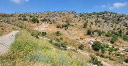 Land for Sale Tannourine El Faouqa ( Fahta ) Batroun Area 6570Sqm