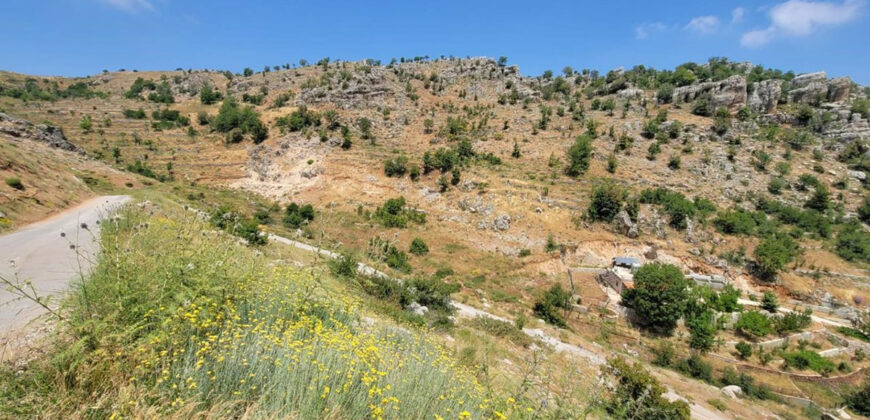 Land for Sale Tannourine El Faouqa ( Fahta ) Batroun Area 6570Sqm