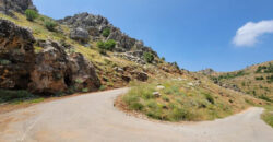 Land for Sale Tannourine El Faouqa ( Fahta ) Batroun Area 6570Sqm