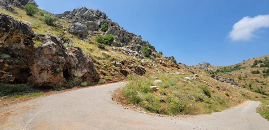 Land for Sale Tannourine El Faouqa ( Fahta ) Batroun Area 6570Sqm