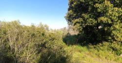 Project for Sale Qalhat Koura ( Under Construction)  Land Area 6148Sqm & 3 Bloks Villas ( Under Constraction )