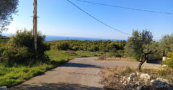 Project for Sale Qalhat Koura ( Under Construction)  Land Area 6148Sqm & 3 Bloks Villas ( Under Constraction )