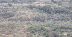 Land for Sale Ain Kfaa Jbeil Area 8000Sqm