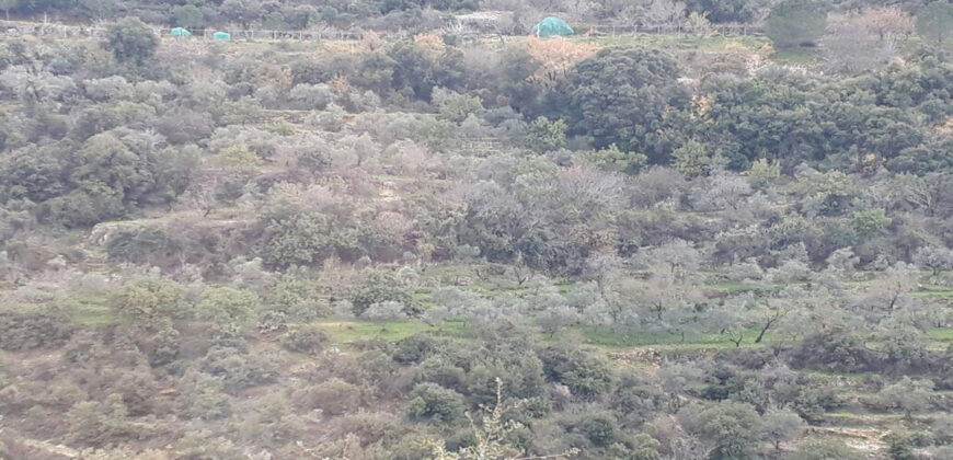 Land for Sale Ain Kfaa Jbeil Area 8000Sqm