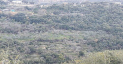 Land for Sale Ain Kfaa Jbeil Area 8000Sqm