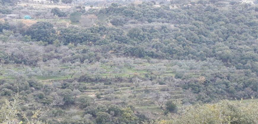 Land for Sale Ain Kfaa Jbeil Area 8000Sqm