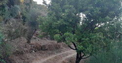 Land for Sale Ain Kfaa Jbeil Area 8000Sqm