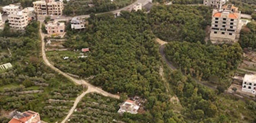 Land for Sale Barij Jbeil Area 1560Sqm