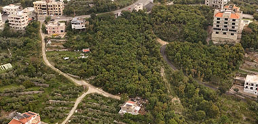 Land for Sale Barij Jbeil Area 1560Sqm