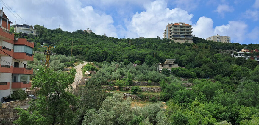 Land for Sale Barij Jbeil Area 1560Sqm