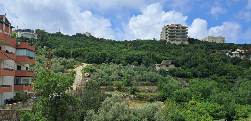 Land for Sale Barij Jbeil Area 1560Sqm