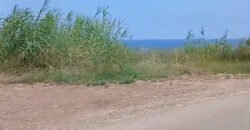 Land for Sale Berbara Jbeil Area 790Sqm