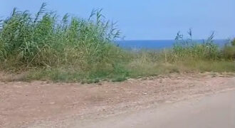 Land for Sale Berbara Jbeil Area 790Sqm
