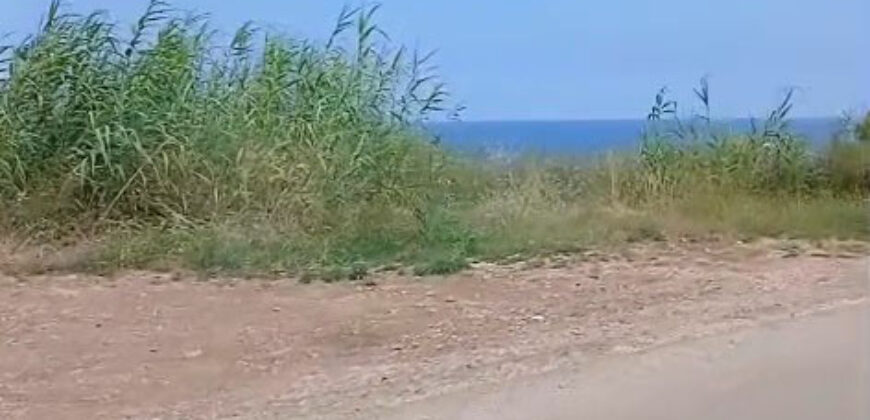 Land for Sale Berbara Jbeil Area 790Sqm