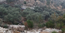 Land for Sale Barhalioun Bsharri Area 6905Sqm