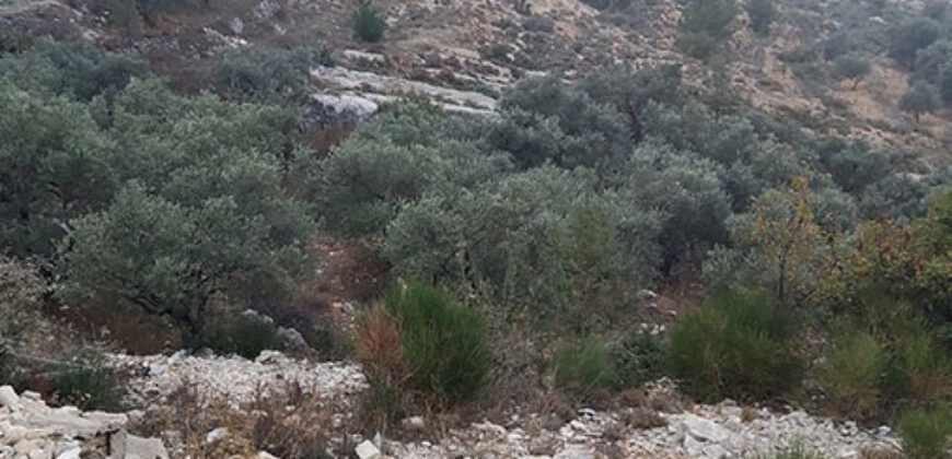 Land for Sale Barhalioun Bsharri Area 6905Sqm
