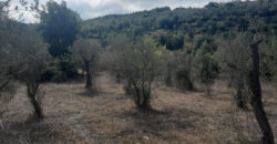 Land for Sale Ain Kfaa Jbeil Area 5185Sqm