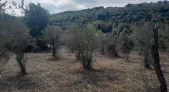 Land for Sale Ain Kfaa Jbeil Area 5185Sqm