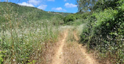 Land for Sale Ain Kfaa Jbeil Area 5185Sqm