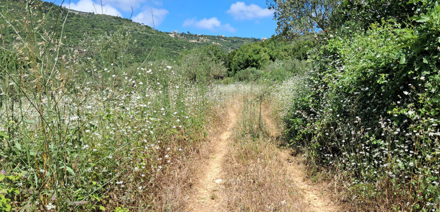 Land for Sale Ain Kfaa Jbeil Area 5185Sqm