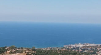 Land for Sale Aabrine Batroun Area 62000Sqm