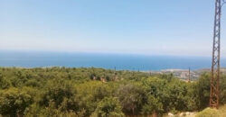Land for Sale Aabrine Batroun Area 62000Sqm