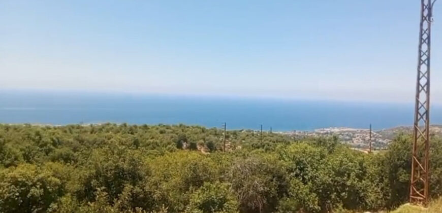 Land for Sale Aabrine Batroun Area 62000Sqm