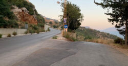 Land for Sale Souaneh Jbeil Area 980Sqm