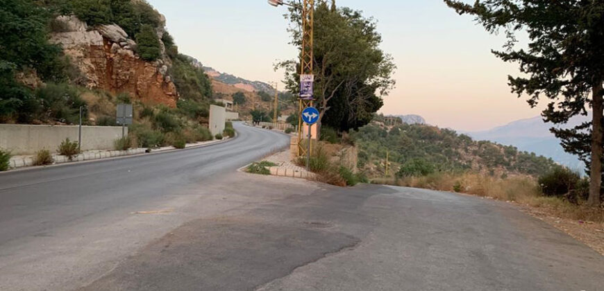 Land for Sale Souaneh Jbeil Area 980Sqm