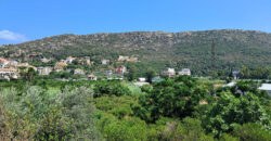 Land for Sale Batroun City Area 4478Sqm