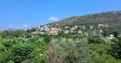 Land for Sale Batroun City Area 4478Sqm