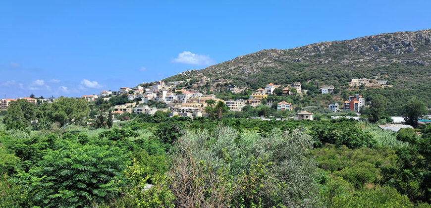 Land for Sale Batroun City Area 4478Sqm