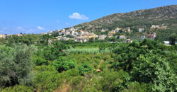 Land for Sale Batroun City Area 4478Sqm