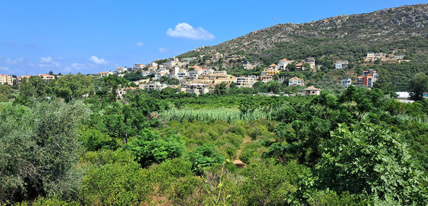 Land for Sale Batroun City Area 4478Sqm