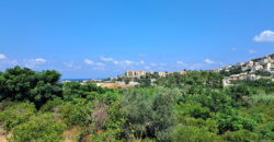 Land for Sale Batroun City Area 4478Sqm