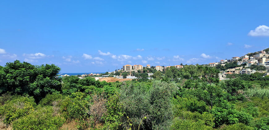 Land for Sale Batroun City Area 4478Sqm