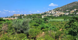 Land for Sale Batroun City Area 4478Sqm