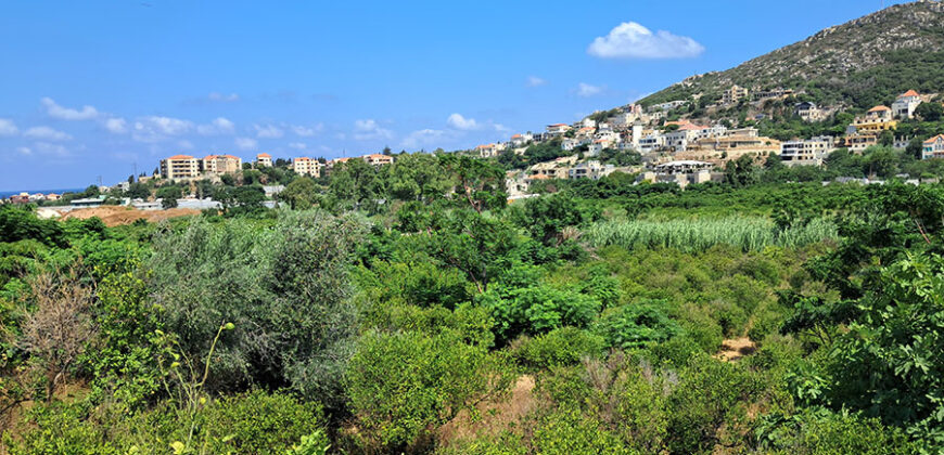 Land for Sale Batroun City Area 4478Sqm