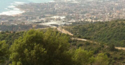 Land for Sale Halat Jbeil Area 872Sqm