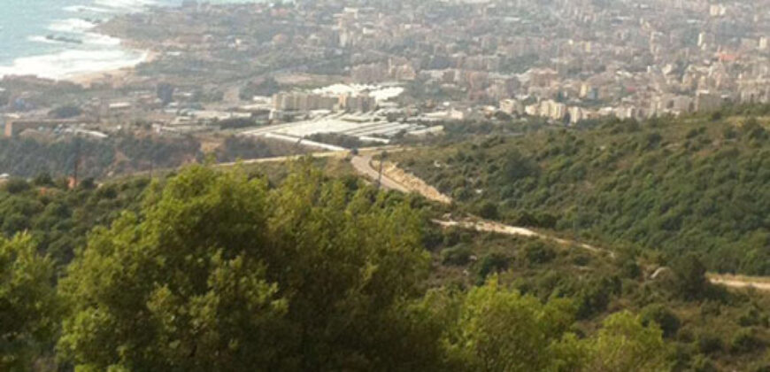 Land for Sale Halat Jbeil Area 872Sqm