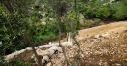 Land for Sale Chikhane Jbeil Area 1077Sqm