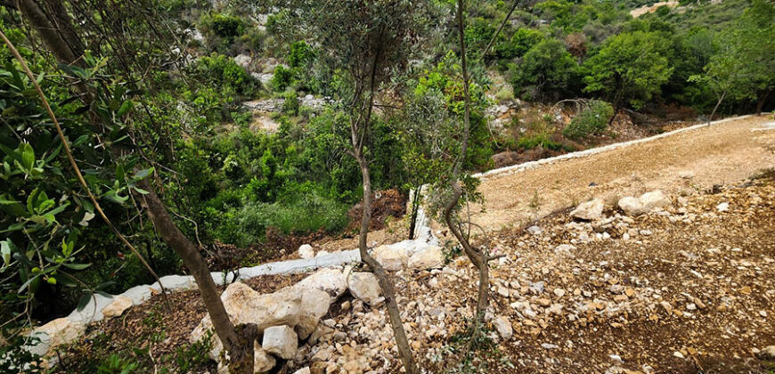 Land for Sale Chikhane Jbeil Area 1077Sqm