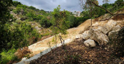 Land for Sale Chikhane Jbeil Area 1077Sqm